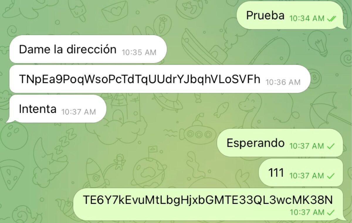 Direccion de wallet falsificada