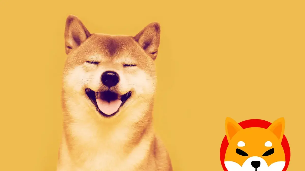 Shiba inu Shiba inu